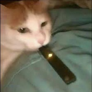 Meet your Posher, Tayo